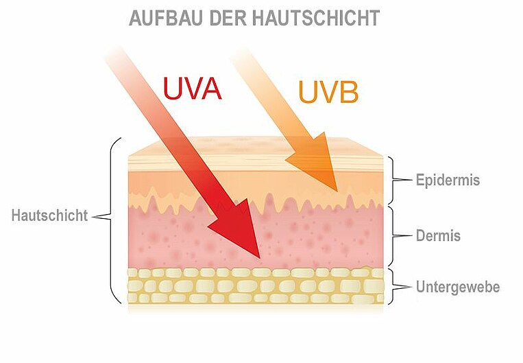 Abbildung von Hautschichten und die Einwirkung von verschiedenen Strahlen Abbildung von Hautschichten und die Einwirkung von verschiedenen Strahlen