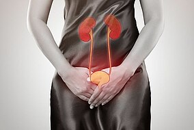 Unterleib einer Frau mit Händen im Schoß und Kennzeichnung der Nieren und Blase