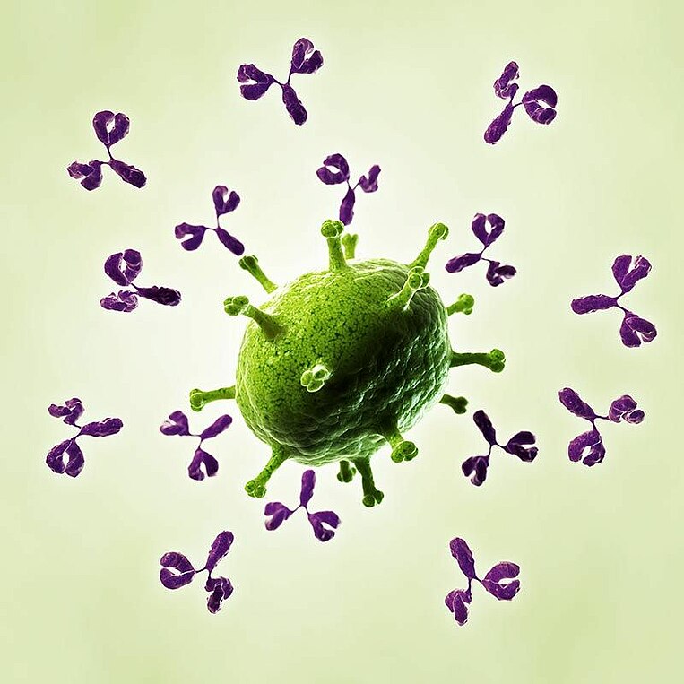 Illustrazione di una cellula immunitaria con anticorpi Illustrazione di una cellula immunitaria con anticorpi