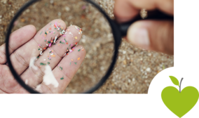 Person sucht nach Mikroplastik im Sand Person sucht nach Mikroplastik im Sand