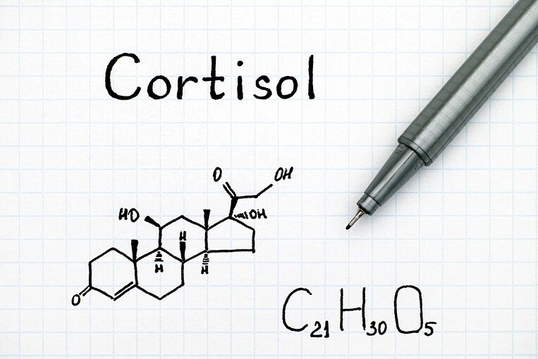 Chemische Formel von Cortisol Chemische Formel von Cortisol