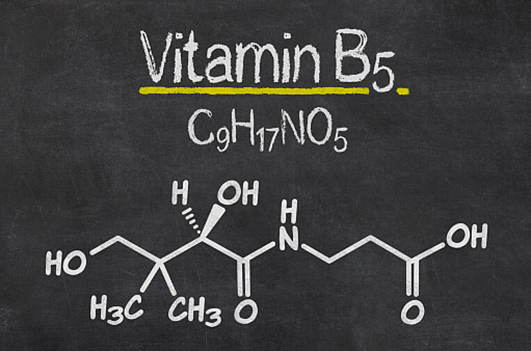 Illustrative Darstellung der chemischen Formel für das Vitamin B5 Illustrative Darstellung der chemischen Formel für das Vitamin B5