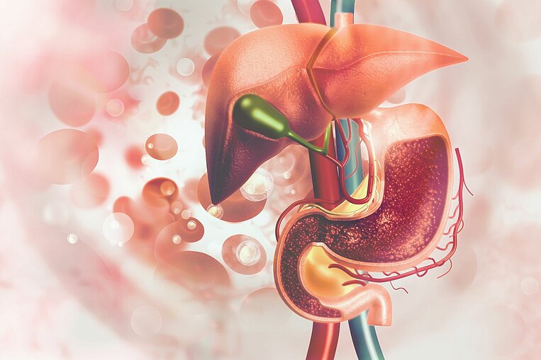 Illustrative Darstellung eines Völlegefühls Illustrative Darstellung eines Völlegefühls