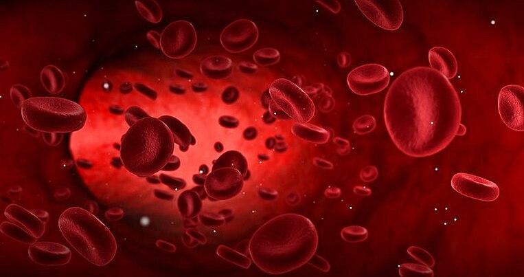 Illustration Blutfluss in Arterien Illustration Blutfluss in Arterien