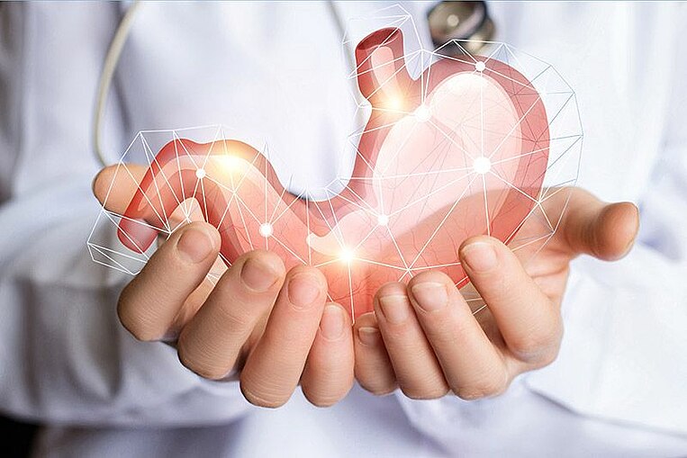 Symbol eines Magens umfasst von zwei Händen Symbol eines Magens umfasst von zwei Händen