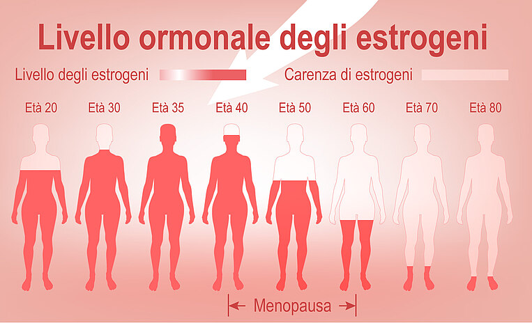 Immagine del livello degli estrogeni in base all’età Immagine del livello degli estrogeni in base all’età