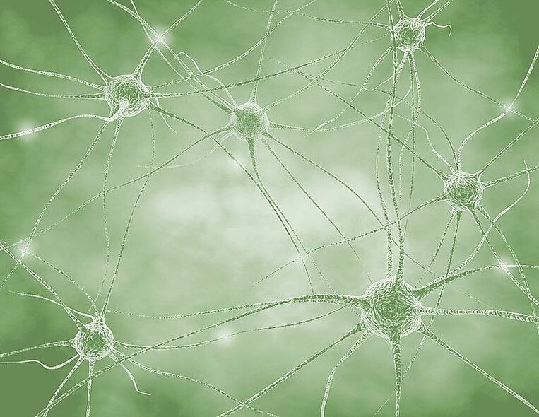 Illustration menschlicher Nervenzellen Illustration menschlicher Nervenzellen