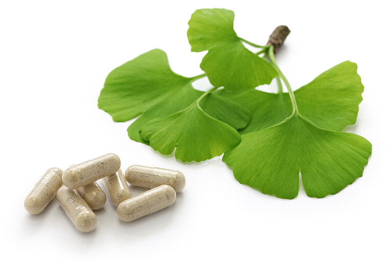 Ginkgo Pflanze und Tabletten Ginkgo Pflanze und Tabletten