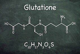 Rappresentazione molecolare del glutatione