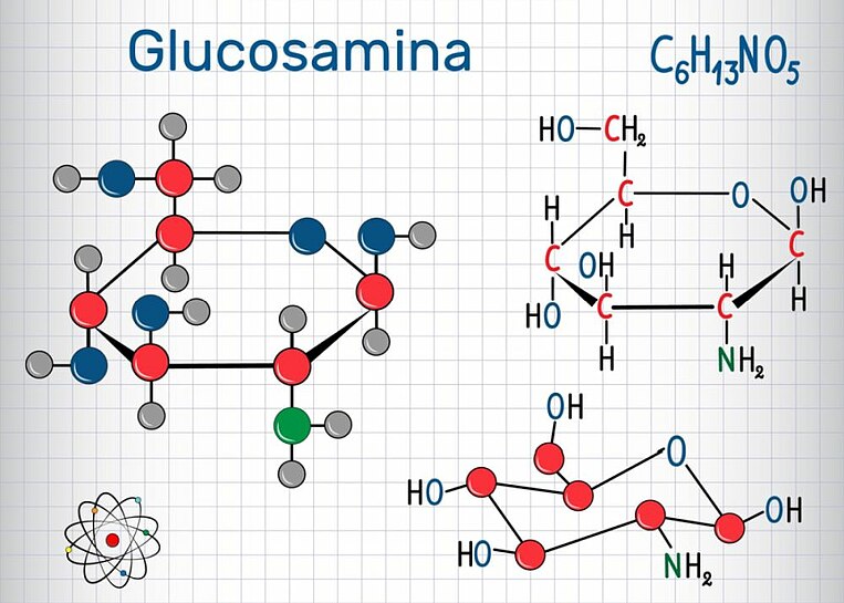 Formula chimica della glucosamina  Formula chimica della glucosamina
