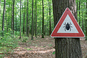 Ein Warnschild für Zecken hängt an einem Baum