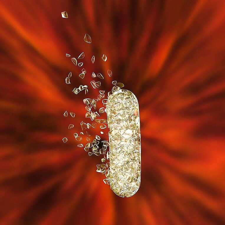 Immagine di un batterio distrutto Immagine di un batterio distrutto