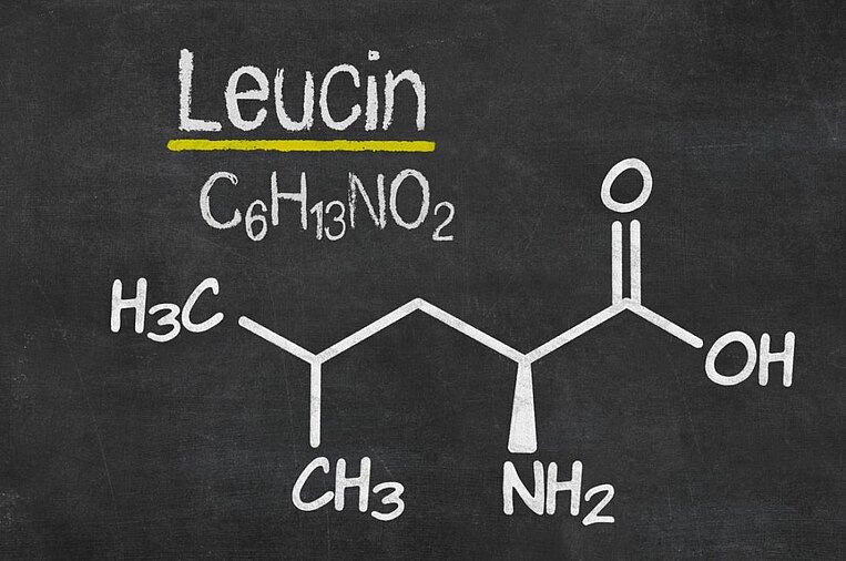 Chemische Formel von Leucin Chemische Formel von Leucin