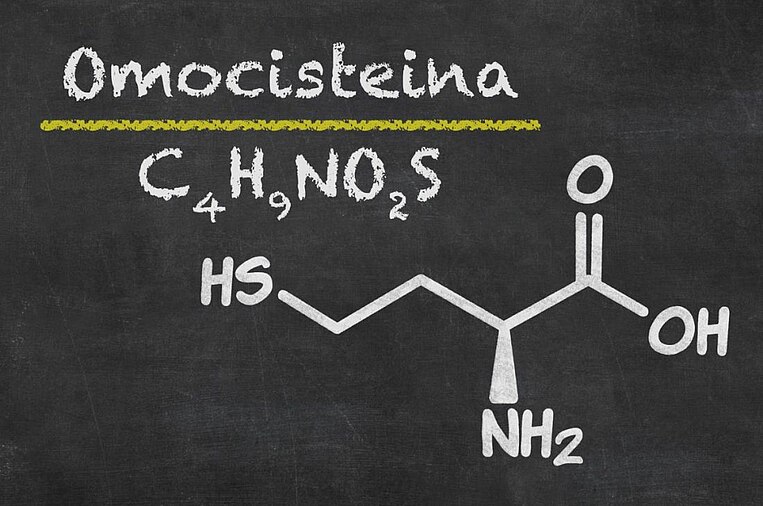 Formula chimica dell'omocisteina Formula chimica dell'omocisteina