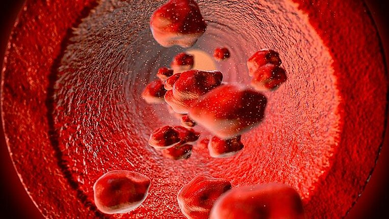 Illustrazione di globuli rossi in una vena Illustration von roten Blutkörperchen in einer Vene