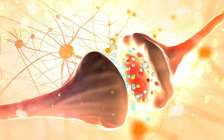 Illustration of nerve cells and synapses. Illustration of nerve cells and synapses.