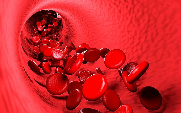 Immagine delle cellule ematiche  Immagine delle cellule ematiche