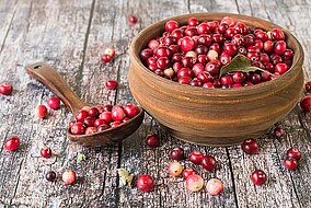 Schale und Löffel mit Cranberries auf einem Holzuntergrund