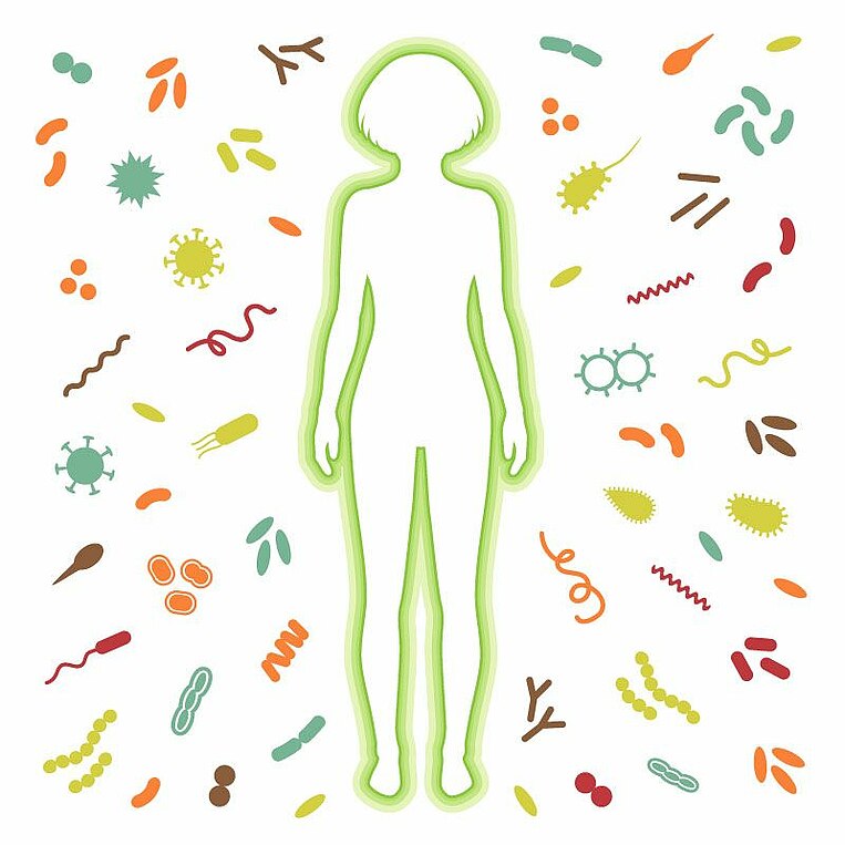 Illustration Wirkweise Vitamin D Illustration Wirkweise Vitamin D