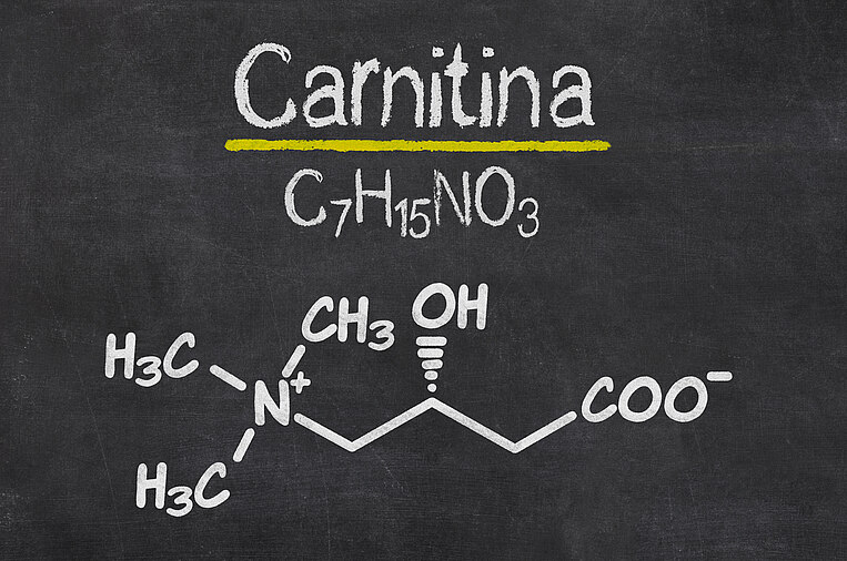 Formula chimica della carnitina Formula chimica della carnitina