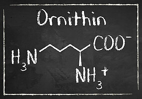 Chemische Formel von Ornithin mit Kreide auf eine Tafel geschrieben