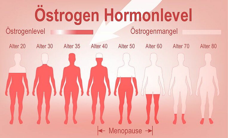 Abbildung des Östrogenlevels nach Alter Abbildung des Östrogenlevels nach Alter