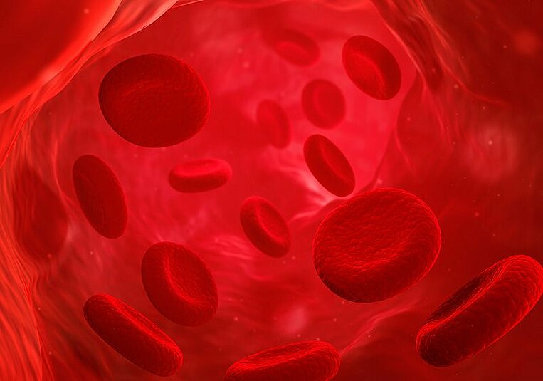 Illustration roter Blutkörperchen Illustration roter Blutkörperchen