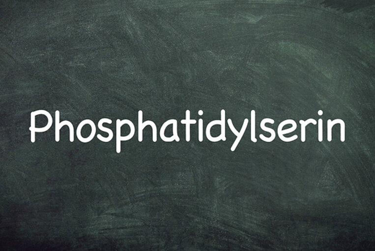 Tafel mit dem Wort Phosphatidylserin Tafel mit dem Wort Phosphatidylserin