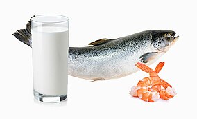Alimenti contenenti MSM 