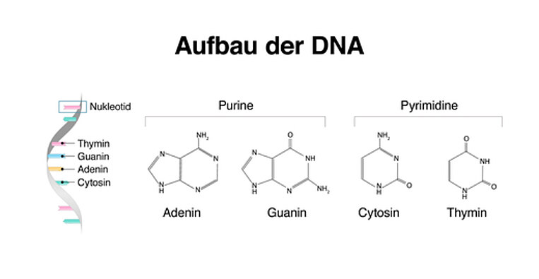 Grafik einer DNA-Struktur Grafik einer DNA-Struktur