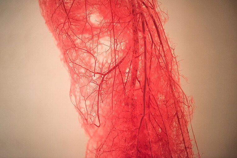 Illustration der menschlichen Blutgefäße Illustration der menschlichen Blutgefäße