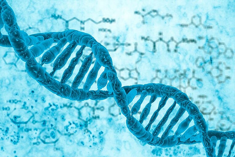 Abbildung der Zellteilung Abbildung der Zellteilung