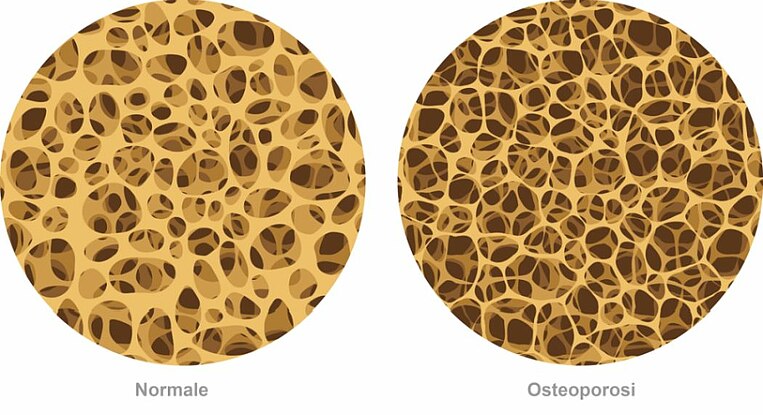 Immagine del tessuto osseo Illustration von Knochengewebe