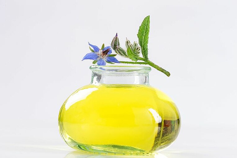 Olio di borragine in un recipiente di vetro Olio di borragine in un recipiente di vetro