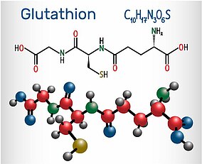 Molekulare Darstellung Glutathion