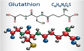 Glutatione: una protezione per le cellule e non solo