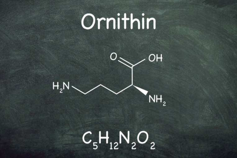 Chemische Formel Ornithin Chemische Formel Ornithin