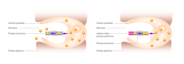 Effetti collaterali dei gastroprotettori Effetti collaterali dei gastroprotettori