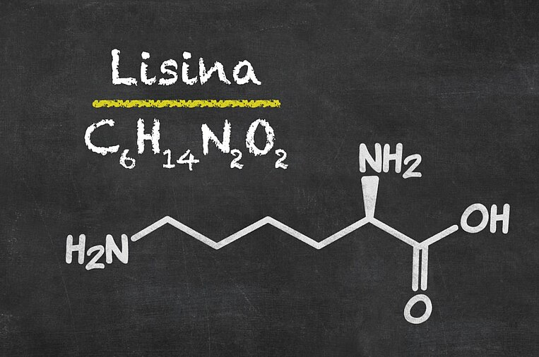 Formula chimica della lisina Formula chimica della lisina