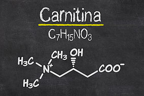 Formula chimica della carnitina