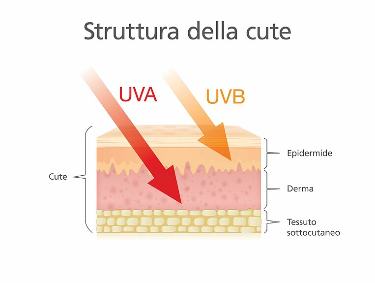 Immagine degli strati cutanei ed effetto di vari raggi Immagine degli strati cutanei ed effetto di vari raggi