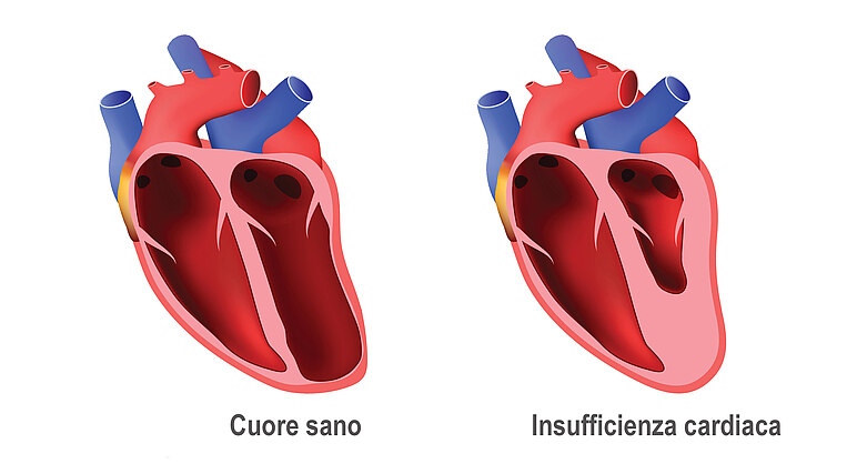 Immagine di due cuori Immagine di due cuori