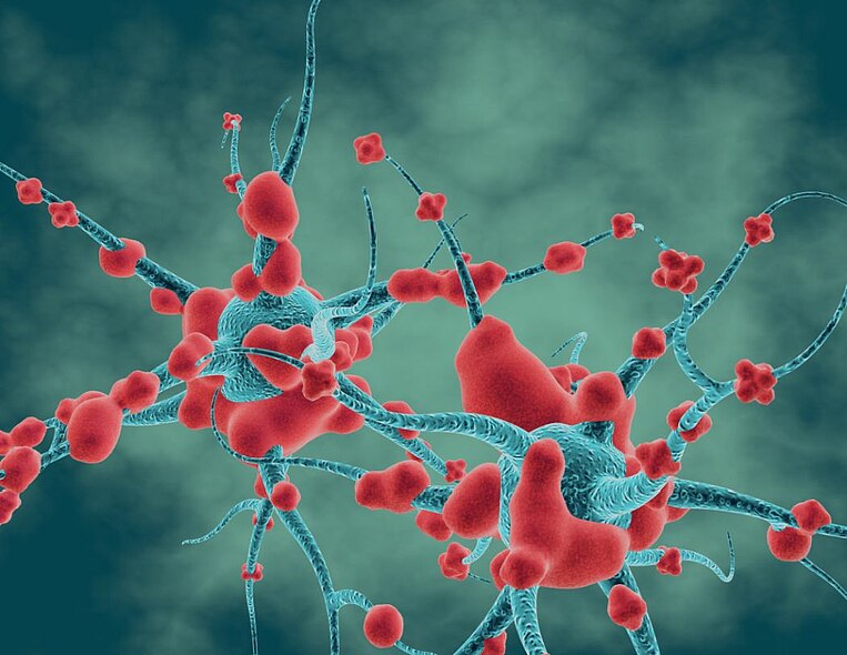 Illustration der Nervenzellen Illustration der Nervenzellen