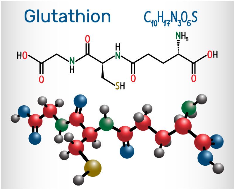 Glutathion Zellschutz & mehr VitaminDoctor