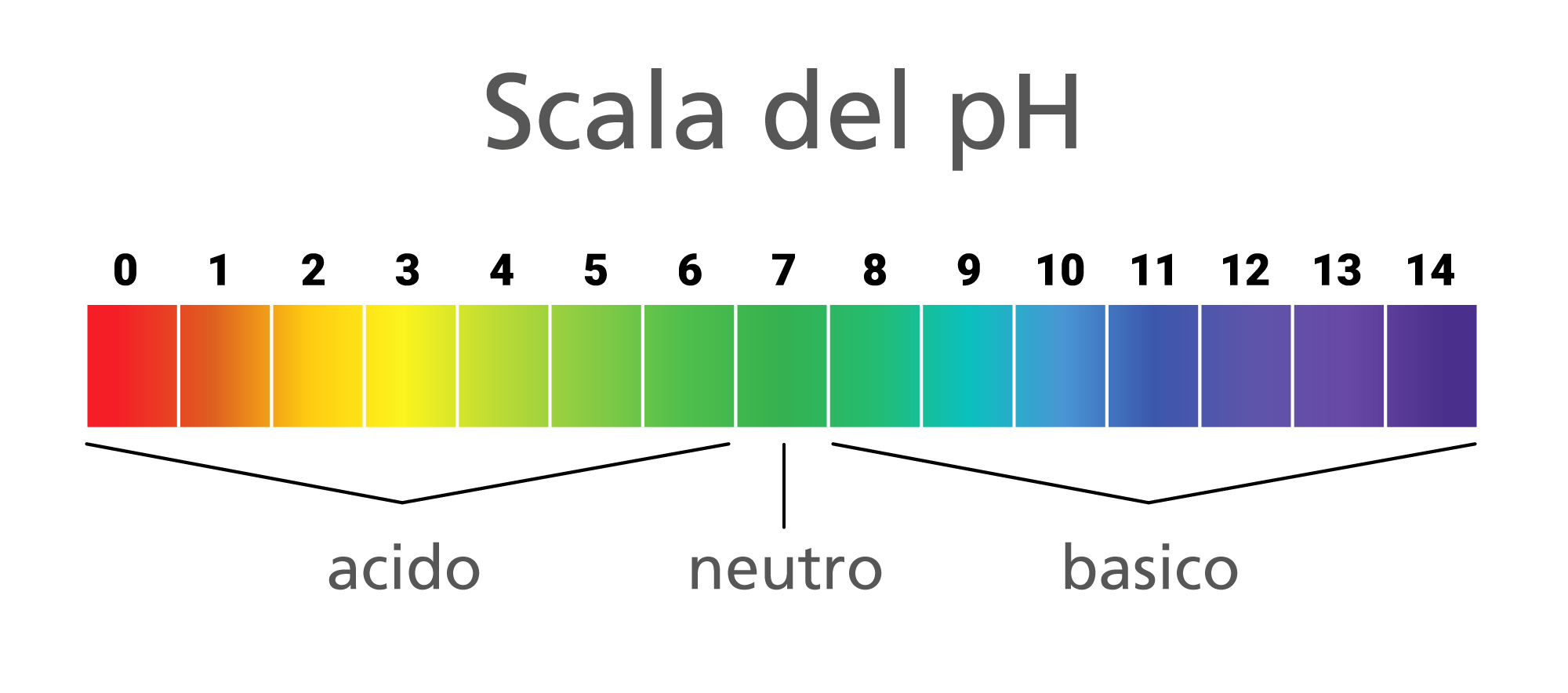 Compensare in modo naturale l’equilibrio acidobase